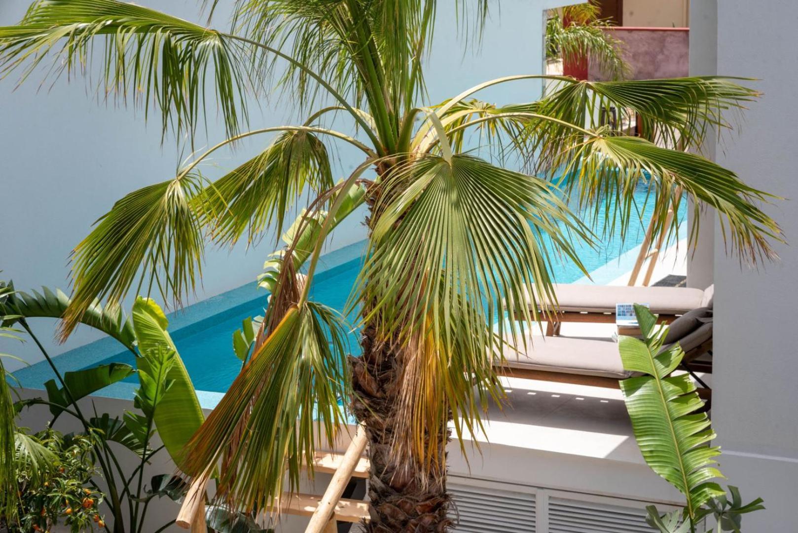 D Palm Premium Living - Kalathas, Chania Ханья Экстерьер фото